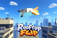 Rooftop Flip